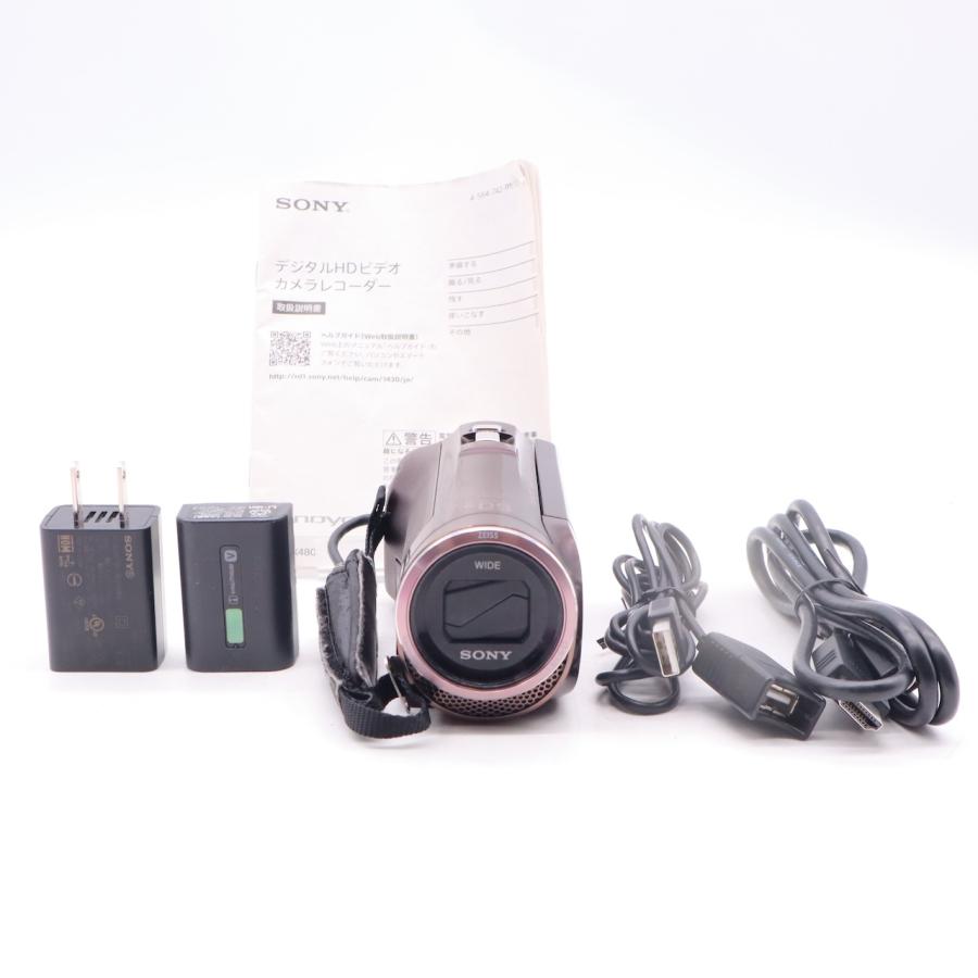 ソニー ソニー HDビデオカメラ Handycam HDR-CX480 ボルドーブラウン | 