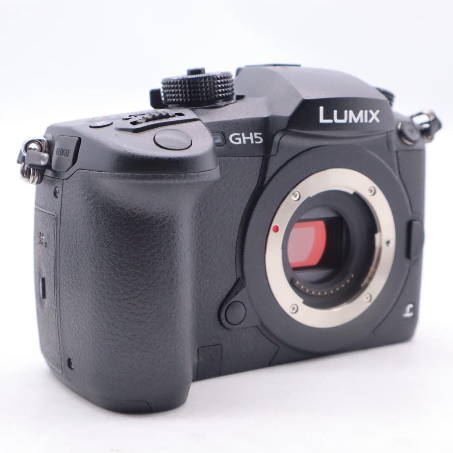 パナソニック Panasonic DC-GH5 ボディ |  | 01