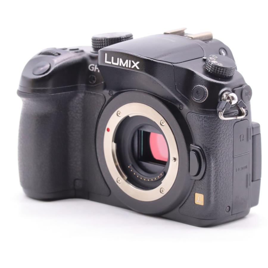 パナソニック Panasonic LUMIX DMC-GH3-K |  | 06