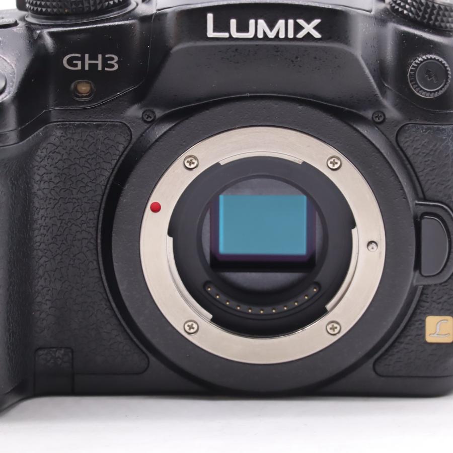 パナソニック Panasonic LUMIX DMC-GH3-K |  | 08
