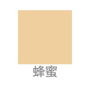 CAC化粧品 全5種 パウダーファンデーション スムース レフィル CAC化粧品 全5種 パウダーファンデーション スムース レフィル