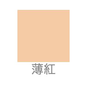 専用です☆CAC化粧品 ファンデーション レフィル 詰替 cac 専用です☆CAC化粧品 ファンデーション レフィル 詰替 cac