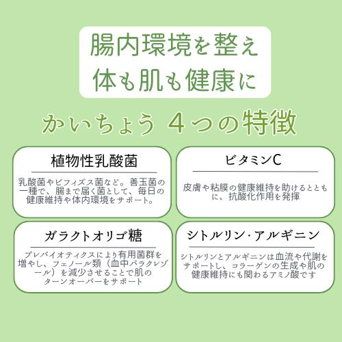 10セット限定☆特別価格】 CAC かいちょう 4箱セット(60g×10本×4箱
