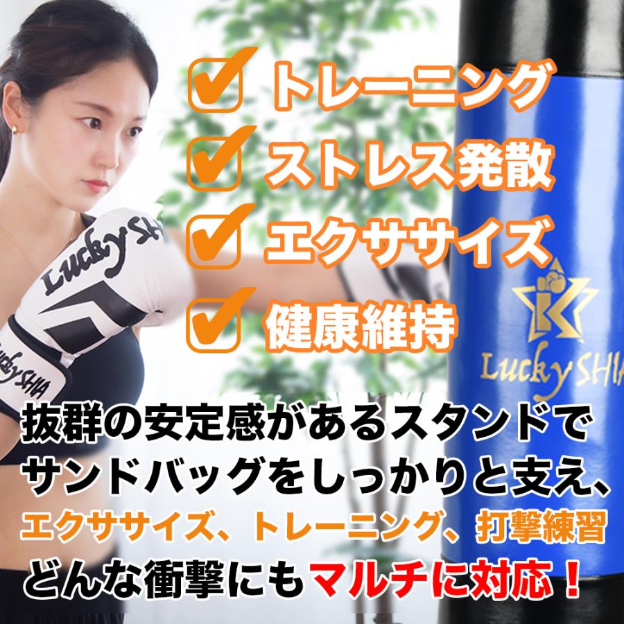 期間限定ポイントUP】【サンドバッグブルー163cm＋グローブセット