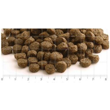 [フィッシュ４ドッグ]　ファイネスト　パピー（小粒）　1.5kg　 |  | 01