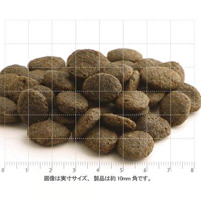 フィッシュ４ドッグ ファイネスト サーモン（大粒）　6kg　[送料無料][お取り寄せ] |  | 01