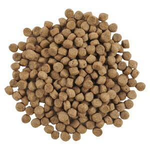 [ナチュラルハーベスト] ベーシックフォーミュラ メンテナンスラム　大粒　3.1kg×2袋セット [送料無料] |  | 01