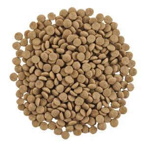 [ナチュラルハーベスト] ベーシックフォーミュラ メンテナンススモールラム（小粒） 1.59kg×8袋 [送料無料] |  | 01