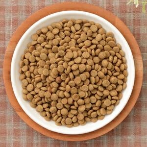 [ナチュラルハーベスト] セラピューティックフォーミュラ フラックス　1.47kg×4袋　[送料無料] |  | 01