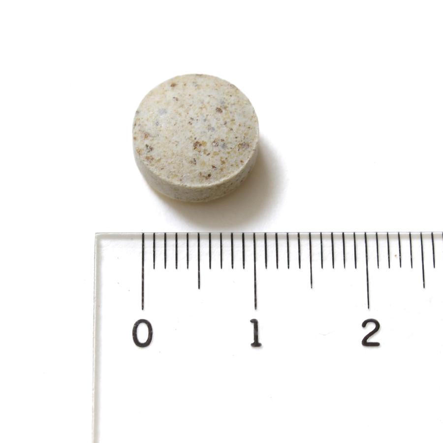 ネイチャーベット　アースリアーマー　240粒（120粒×2） [送料無料] |  | 01