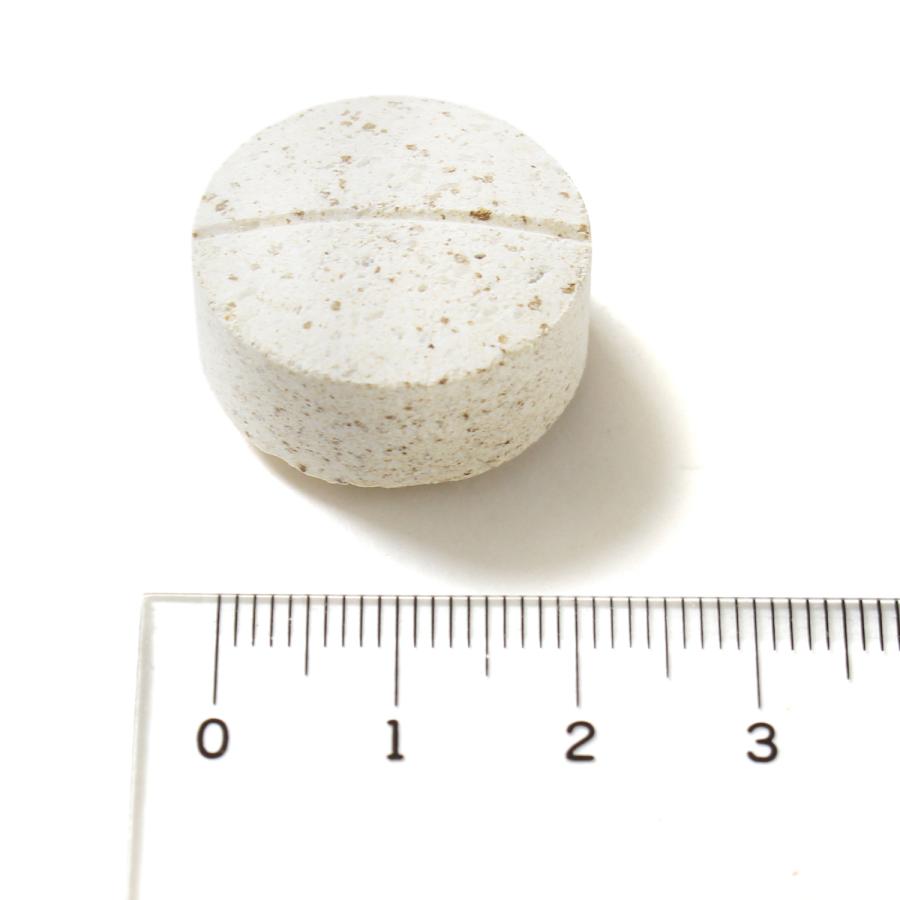 ネイチャーベット　アースリアーマーゴールド　90粒　[送料無料] |  | 01