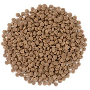 [ナチュラルハーベスト] ベーシックフォーミュラ メンテナンススモール（小粒） フレッシュフィッシュ　1.59kg×4袋　[送料無料] |  | 01