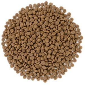 [ナチュラルハーベスト] ベーシックフォーミュラ メンテナンススモール（小粒） フレッシュターキー　1.59kg |  | 01