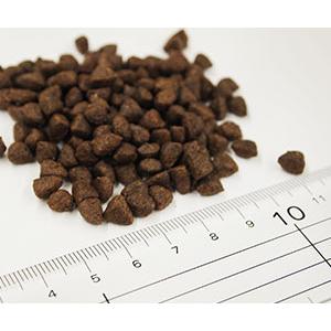 フィッシュ４ドッグ ファイネスト トイブリード　1.5kg　 |  | 02
