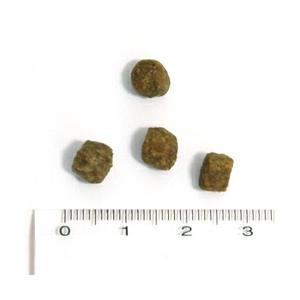 ナウフレッシュ グレインフリー　アダルトキャット　7.25kg [送料無料][お取り寄せ] |  | 01