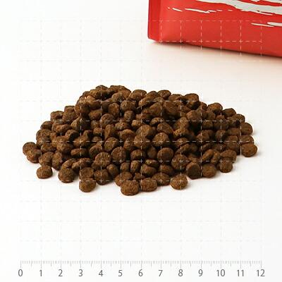 フィッシュ４ドッグ  スーペリアアダルト　12kg（6kg×2袋）　[送料無料][お取り寄せ] |  | 01