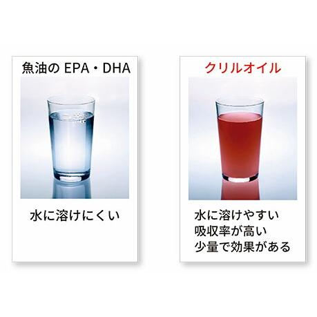 ナチュラルハーベスト/カントリーロード クリルオイル　180粒　無臭タイプ [送料無料] |  | 02
