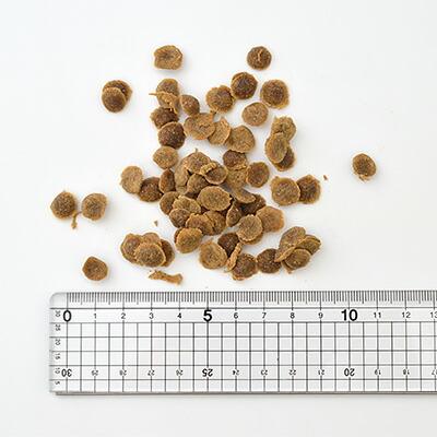 [Yum Yum Yum！]　やわらかドライ　シニア＆ライト　チキン　800g（80g×10袋） |  | 01