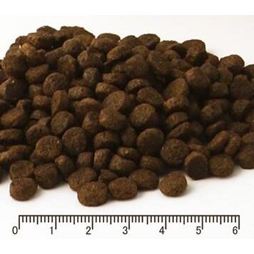 フィッシュ４ドッグ  スーペリア ウェイトコントロール　3kg（1.5kg×2）　 |  | 01
