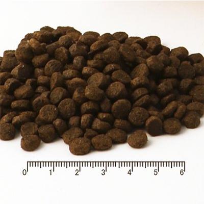 フィッシュ４ドッグ  スーペリア パピー　12kg（6kg×2）　 |  | 01