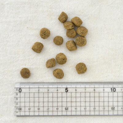 ナウフレッシュ グレインフリー　アダルト　　1.59kg　 |  | 02