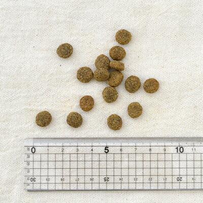 [NOW FRESH]　ナウフレッシュグレインフリー　シニア&ウェイトマネジメント　　5.44kg |  | 02