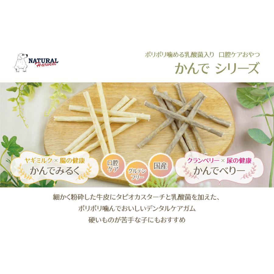 ナチュラルハーベスト　ローハイドガム　かんでべりー　10本 |  | 02