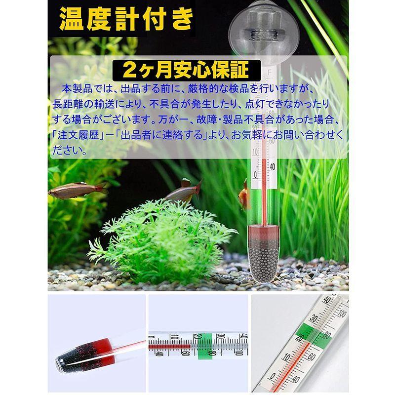 超特価sale開催 爬虫類用 爬虫類ライト 亀ライト 50w 75w ランプ 温度計セット 温度調節 両生類用 Uva Uvb ヒーター バスキング ライト クリ Wantannas Go Id