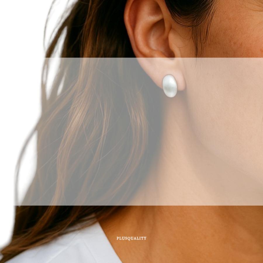 ピアス レディース アレルギー対応 つけっぱなし シンプル 上品 秋 冬 仕事 医療用 ステンレス サージカルステンレス ピアス 爆買 | ブランド登録なし | 14