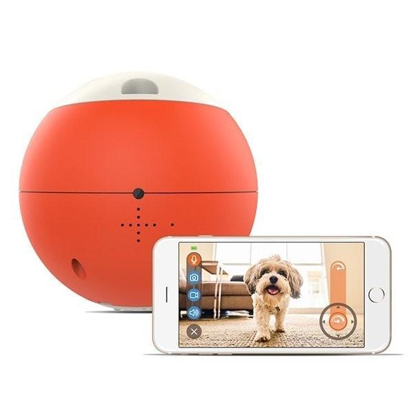 ビーラボ easyPlay(イージープレイ) 