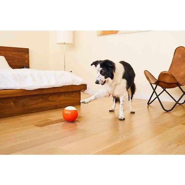 ビーラボ easyPlay(イージープレイ) 