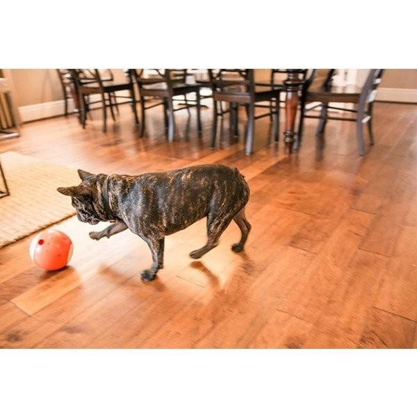 ビーラボ easyPlay(イージープレイ) 