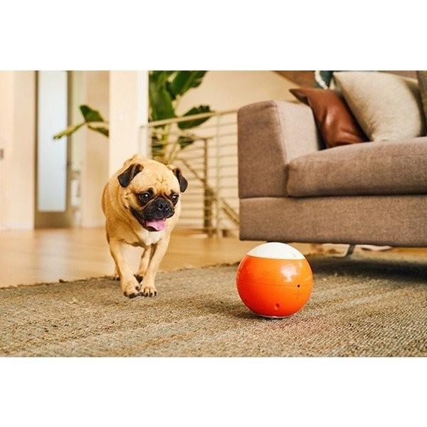 ビーラボ easyPlay(イージープレイ) 