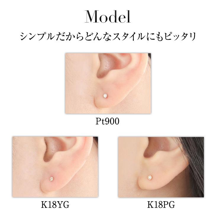 ジュエリースタジオ プラスター（Jewelry Studio PLUSTER