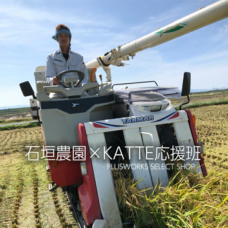 【白米】新米 5kg お米 山形県庄内産 令和7年度産 受注後精米 つや姫 はえぬき 雪若丸 ひとめぼれ 正規取扱店 |  | 01