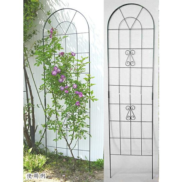 2Wワイヤーフェンス 50×200cm 1個 組立式 No.183 ワイヤーラティス アイアン 小KD | 