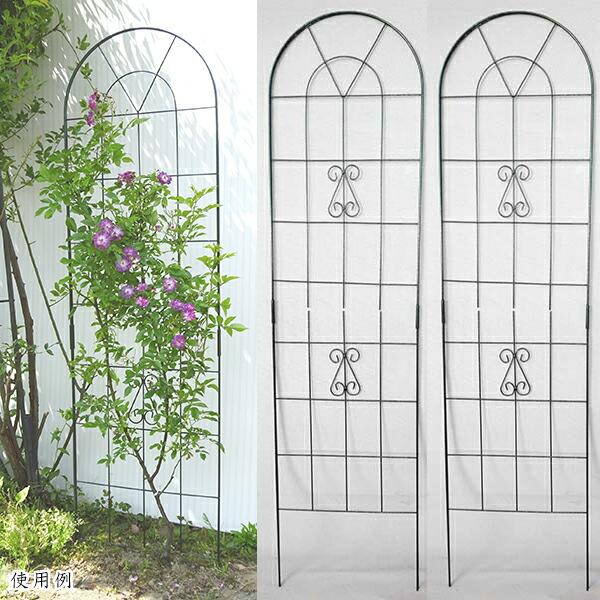 2Wワイヤーフェンス 50×200cm 2個 組立式 No.184 ワイヤーラティス アイアン 小KD | 