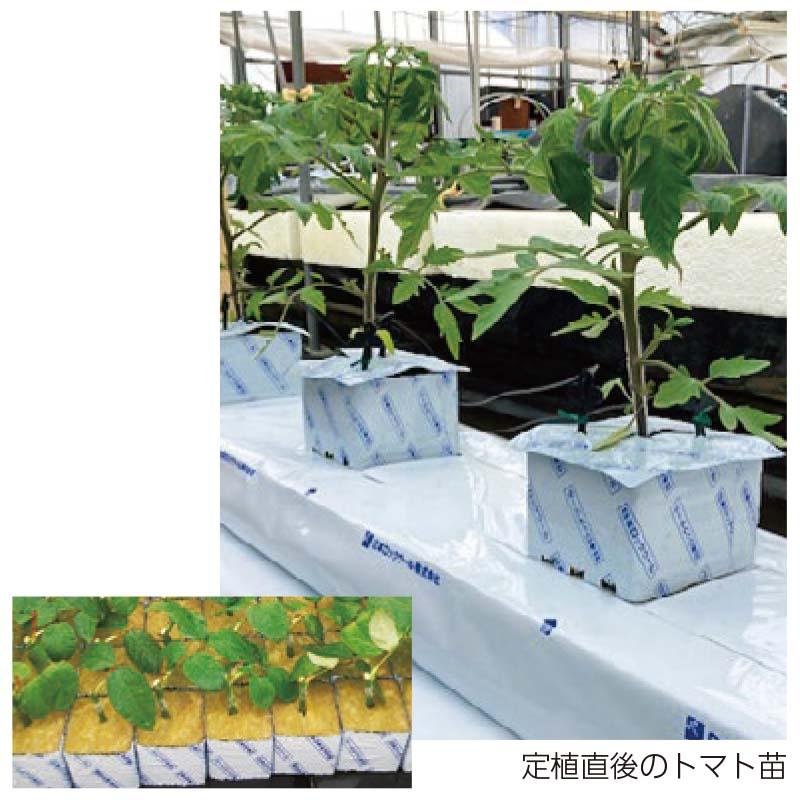 やさいはなポット 75×75×75mm 384入 穴径30mm 日本ロックウール タS 個人宅配送不可 代引不可 |  | 01