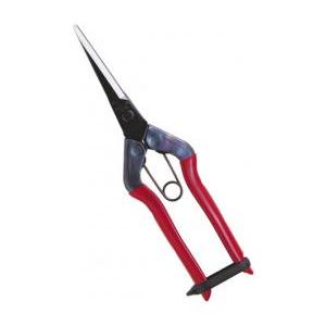 近正 芽切鋏 ロング 尖直長刃 T-570 福K D | 