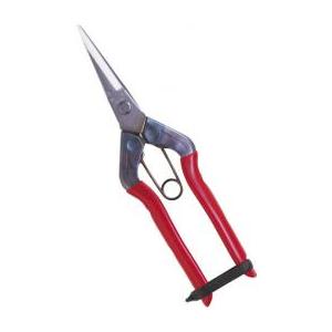 近正 ステンレス 芽切鋏 T-550S 福KD | 