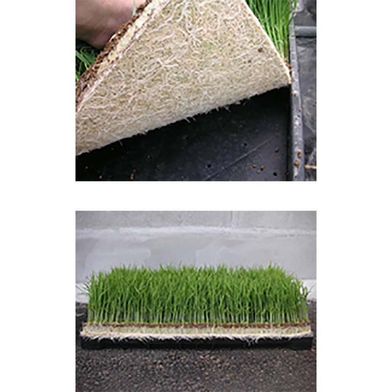 30枚 水稲育苗用 ロックウールマット エースマット ロックウール成形倍地 (一般用:タイプN) カ施 代引不可 |  | 02