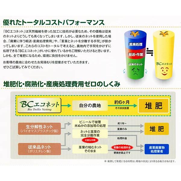 10巻 BCエコロープ 1.5mm×3000m 野菜用吊るし紐 トマト・キュウリ 園芸用誘引紐 薔薇 麻紐より滑りが良く扱い易い 高K 代引不可 |  | 02