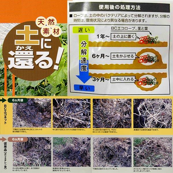10巻 BCエコロープ 1.8mm×2000m 野菜用吊るし紐 トマト・キュウリ 園芸用誘引紐 薔薇 麻紐より滑りが良く扱い易い 高K 代引不可 |  | 03