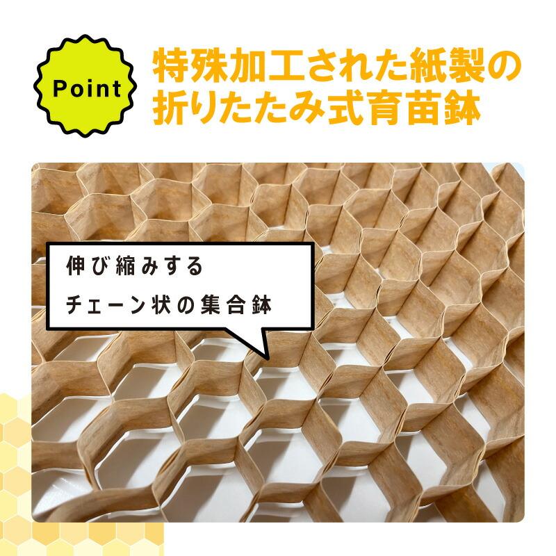 チェーンポット CP253 150冊 (個) 株間4.5cm 364鉢 播種 種まき 育苗