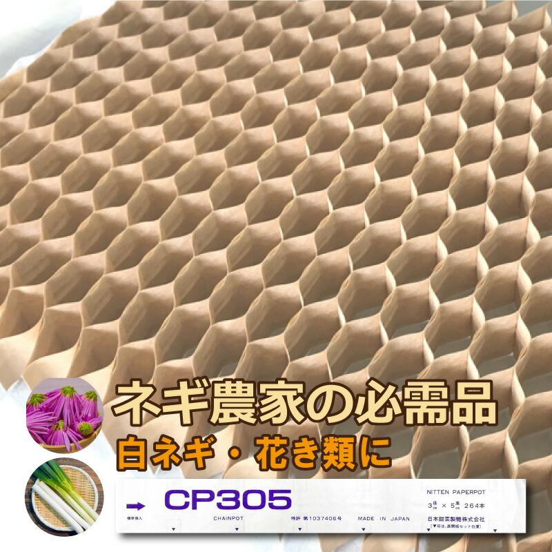 チェーンポット CP305 150冊 (個) 株間5.0cm 264鉢 播種 種まき 育苗 苗 白ネギ 花き類 野菜 農業 cp305 紙筒 ひっぱりくん ニッテン 日本甜菜製糖 タS D | 