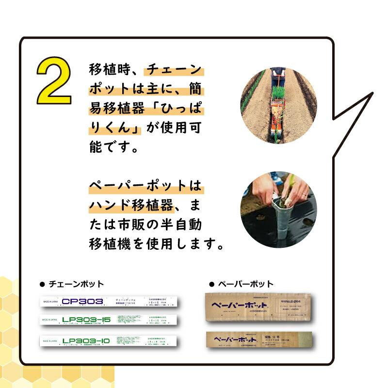 150冊 (個) チェーンポット CP354 CP-354 190鉢 株間6cm 3.5×3.8cm 播種 種まき 育苗 ネギ 花き類 花卉類 野菜 紙筒 ニッテン 日本甜菜製糖 タSD |  | 12