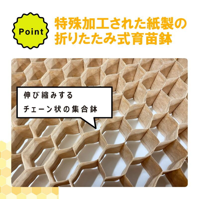 150冊 (個) チェーンポット CP354 CP-354 190鉢 株間6cm 3.5×3.8cm 播種 種まき 育苗 ネギ 花き類 花卉類 野菜 紙筒 ニッテン 日本甜菜製糖 タSD |  | 03