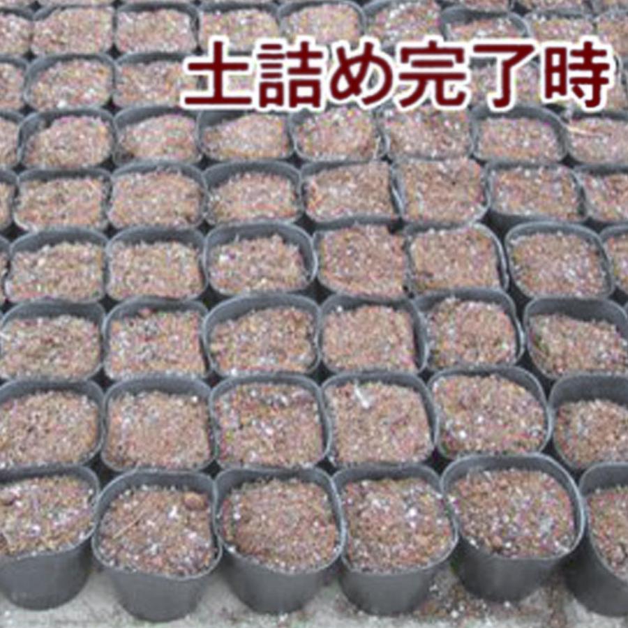 板のみ 15号 角ポット用 小穴52mm L50角P 育苗ポット 連続 土詰器 スピードポッター 槍木産業 うつぎ産業 カ施 代引不可 |  | 03