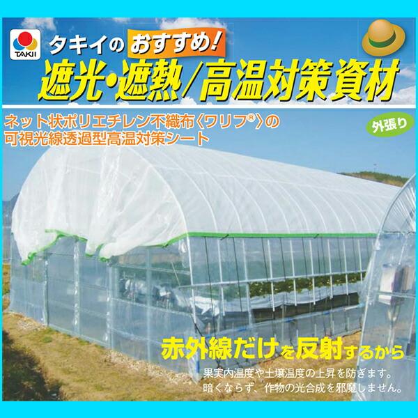 タキイ涼感ホワイト 40 2.75×100m タキイ種苗 不織布 遮熱 遮光 涼しい 軽い 高耐久 トマト イチゴ ユリ 軟弱野菜に 北海道配送不可 代引不可 |  | 01