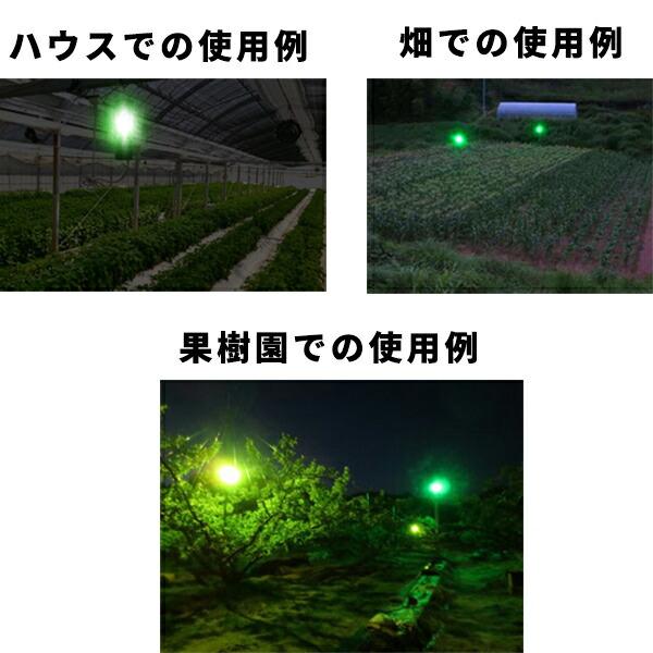 LED 防蛾灯 モスバリア 緑 省電力 屋外灯 蛾灯 発光ダイオード ゼロビーム ZEROBEAM 代引不可 |  | 05